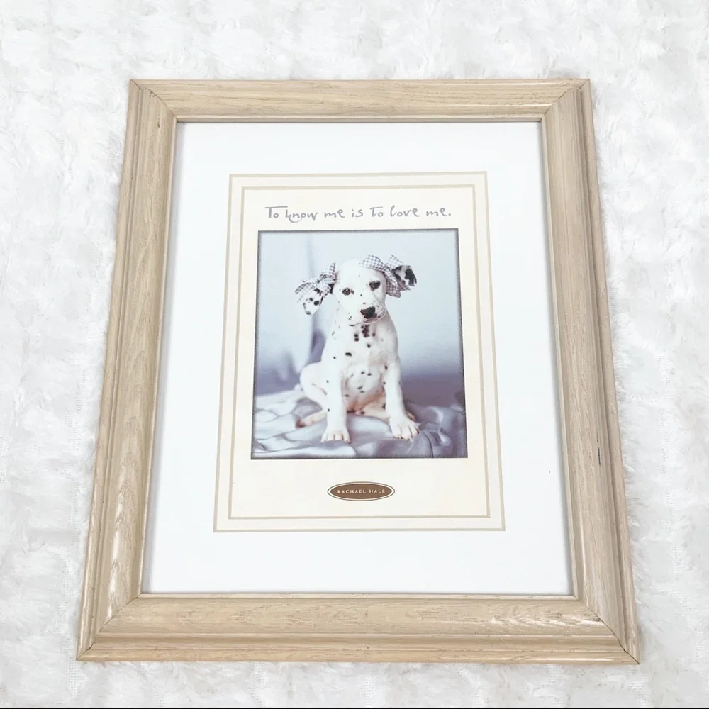 Rachael Hale Dalmatian puppy framed photography print